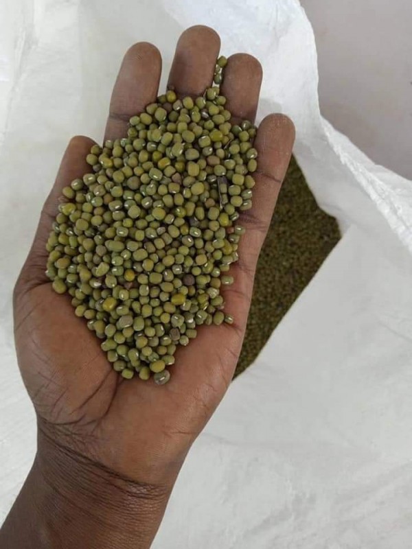 green mung beans for sale. whatsap +255742638024 from Tanzania