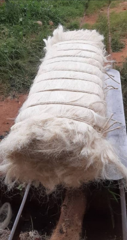 Sisal from Tanzania