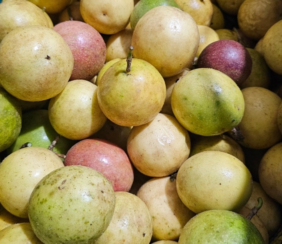 Passion Fruit from Tanzania