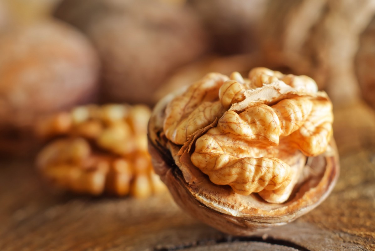 Walnut Kernel from Ukraine