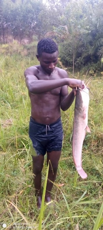 MUD FISH from Uganda