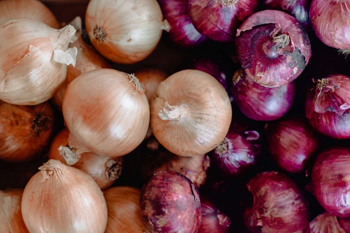 Red Coach F1 Onions from Uganda