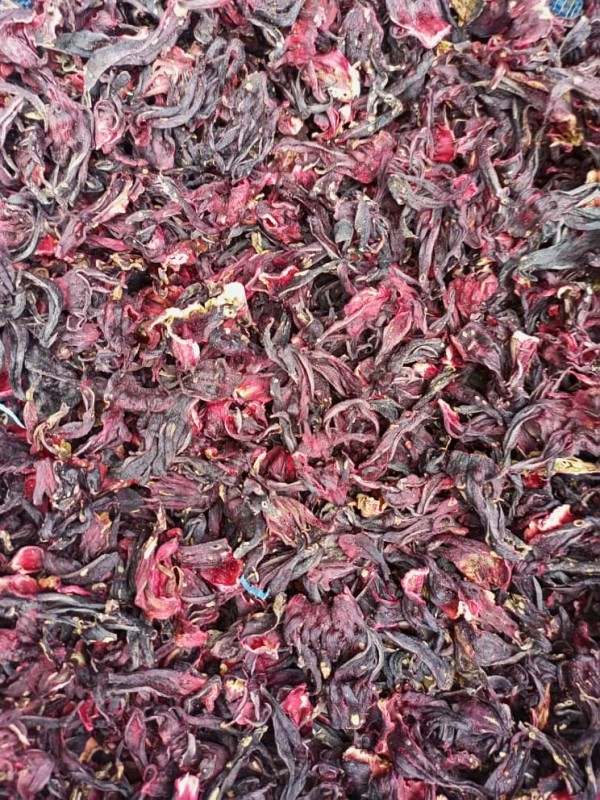 Hibiscus from Uganda
