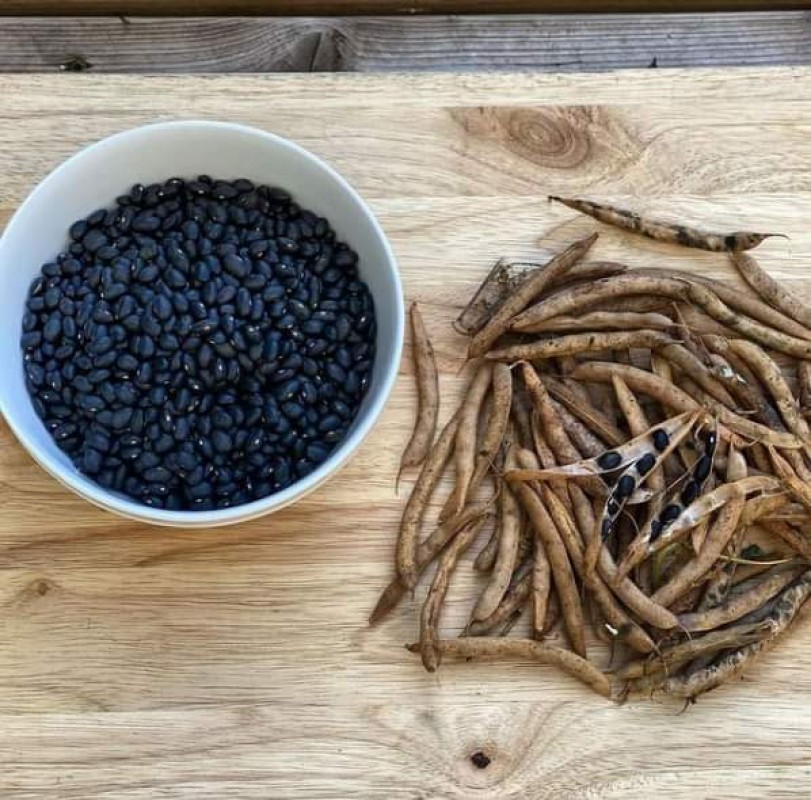 Black Beans from Uganda