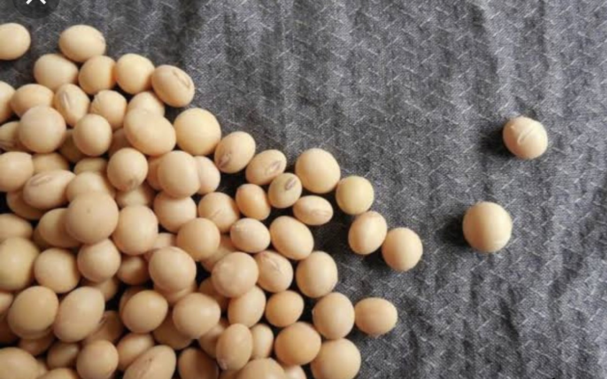 Soya and rice from Uganda