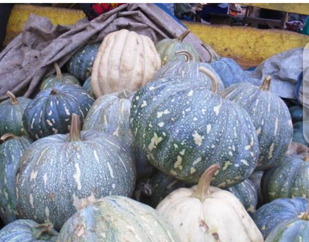 Fresh pumpkin from Uganda