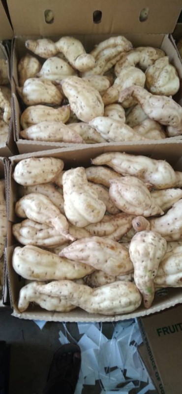 Sweet Potatoes Red & White from Uganda