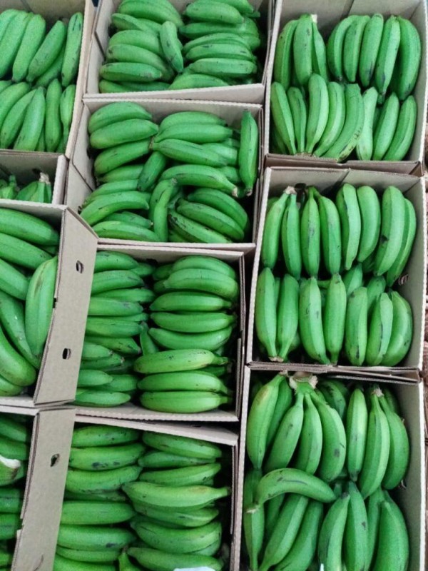 Banana from Uganda