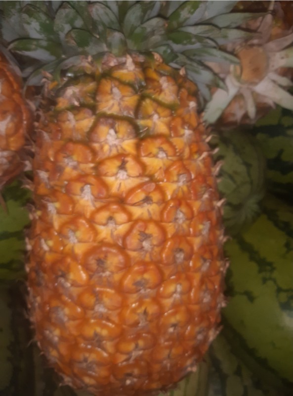 Pineapples from Uganda