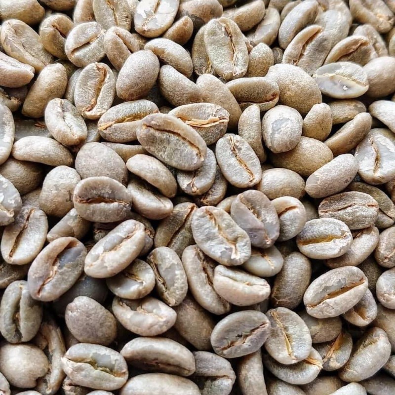 Arabica coffee from Uganda