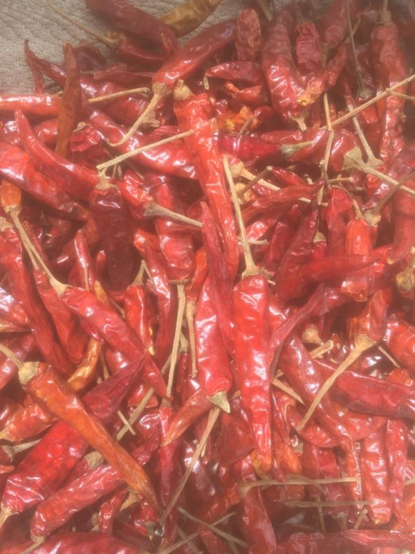 Peperoncini di Cayenna Essiccati from Uganda