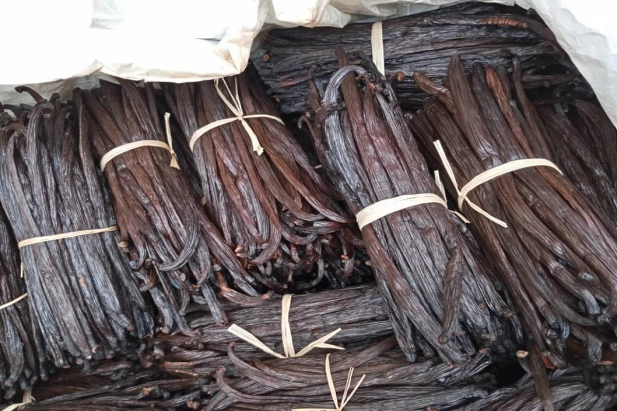 Favas de baunilha from Uganda