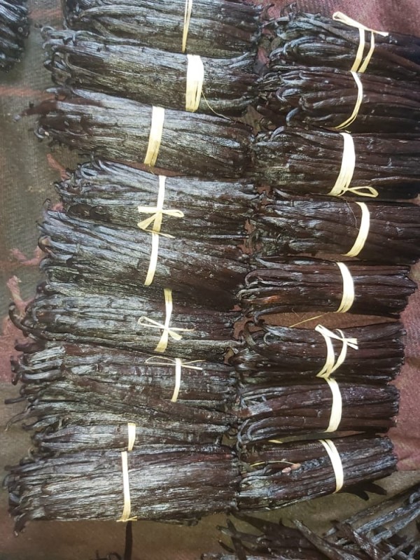 Cured Vanilla Beans from Uganda