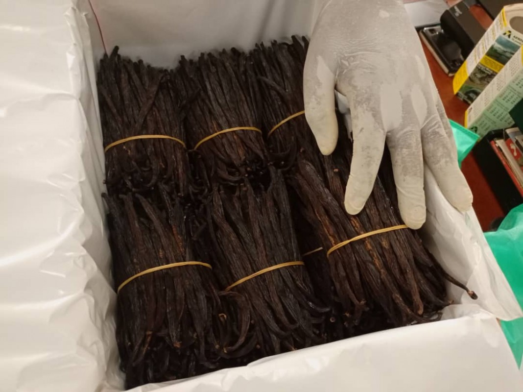 Vanilla from Uganda