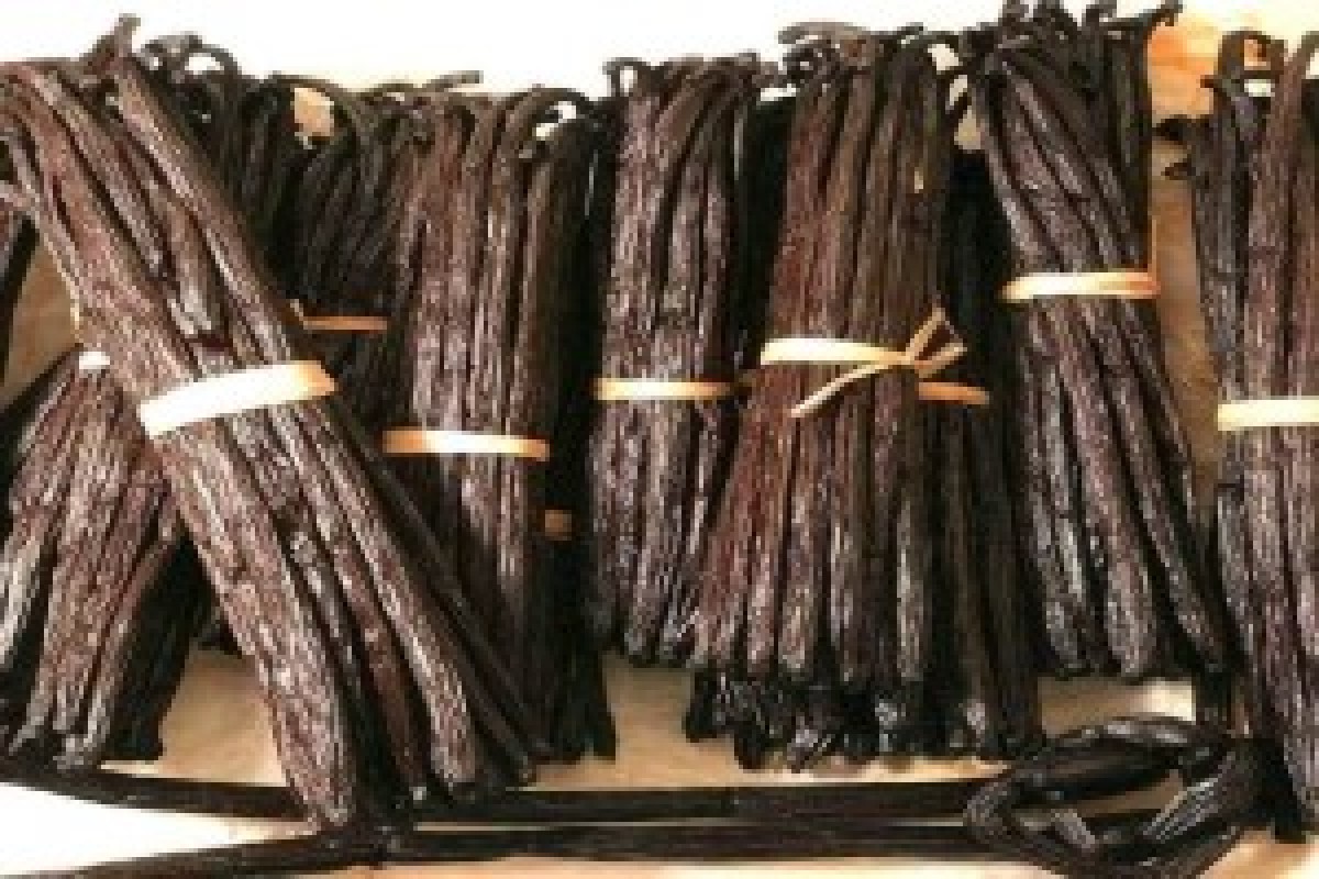 Vanilla from Uganda from Uganda
