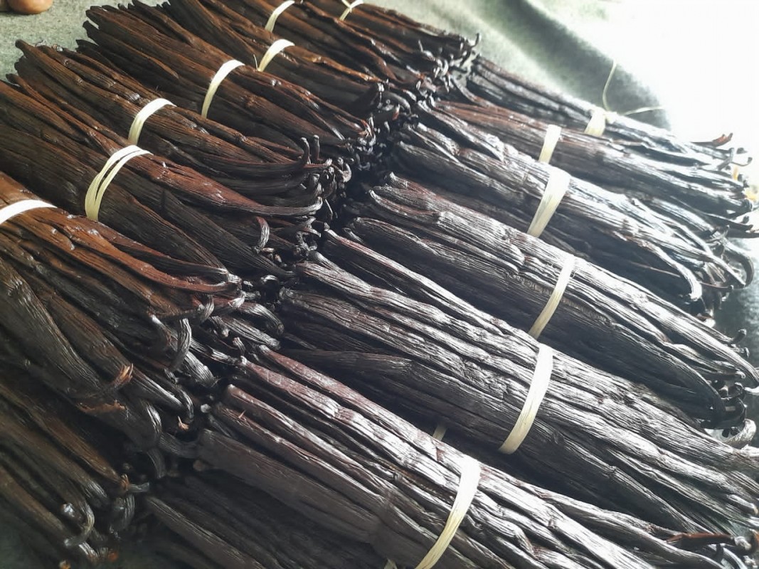 Vanilla from Uganda