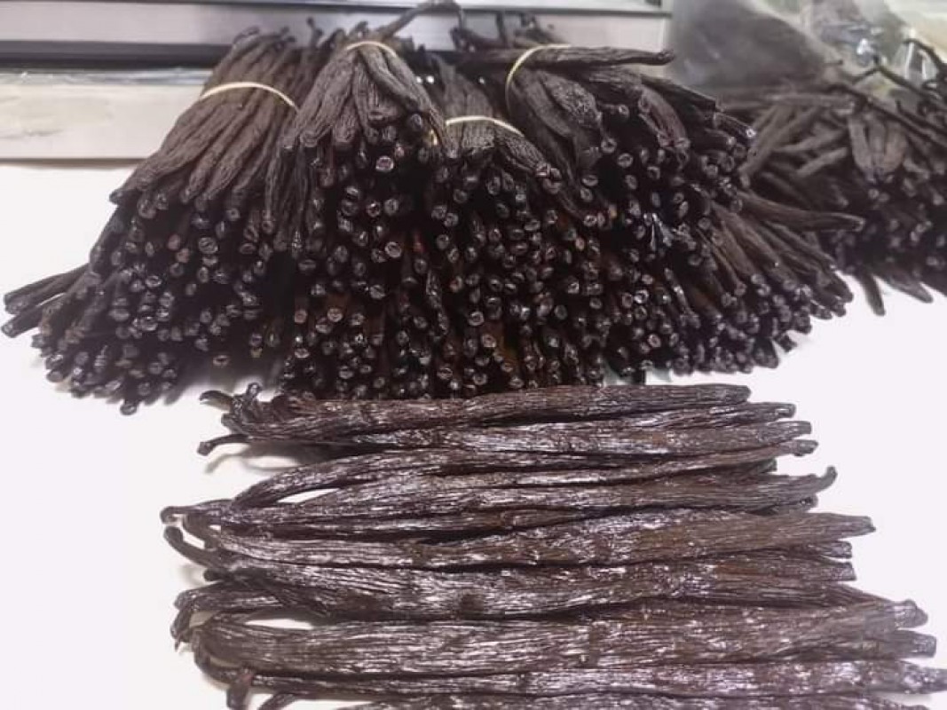 Harms vanilla exploits LTD from Uganda