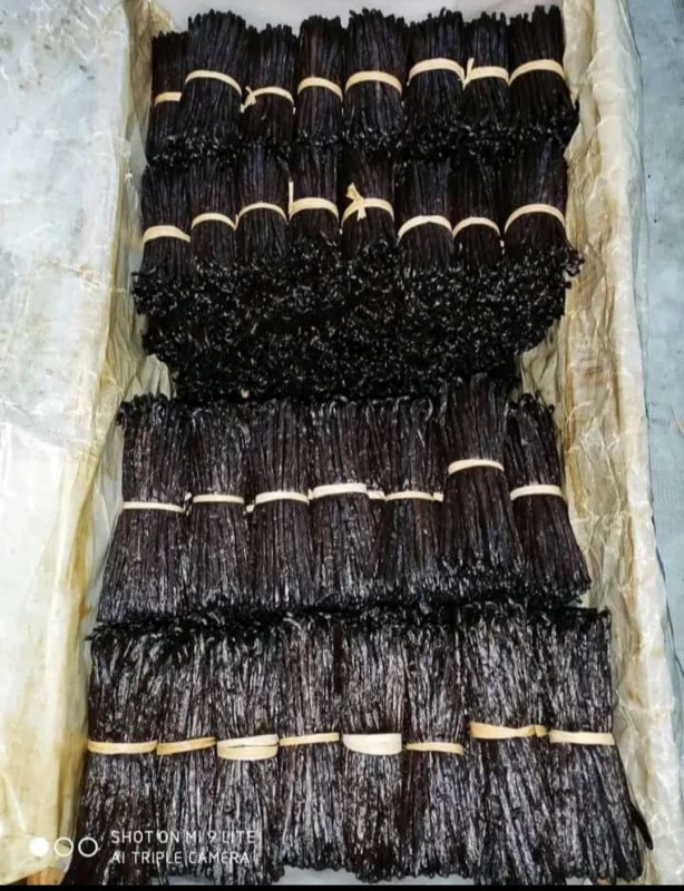 Cured vanilla beans from Uganda