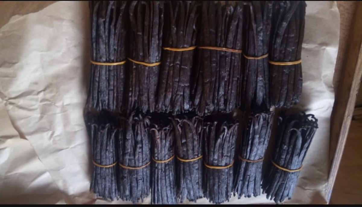 Vanilla from Uganda