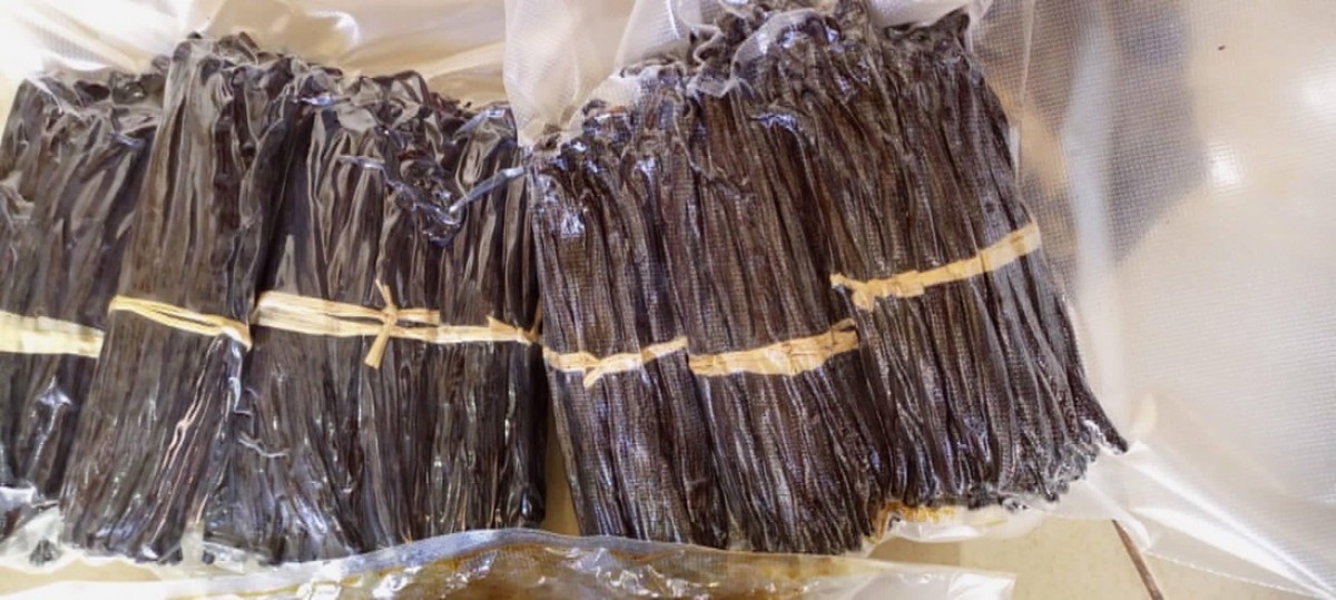 Cured Vanilla beans from Uganda