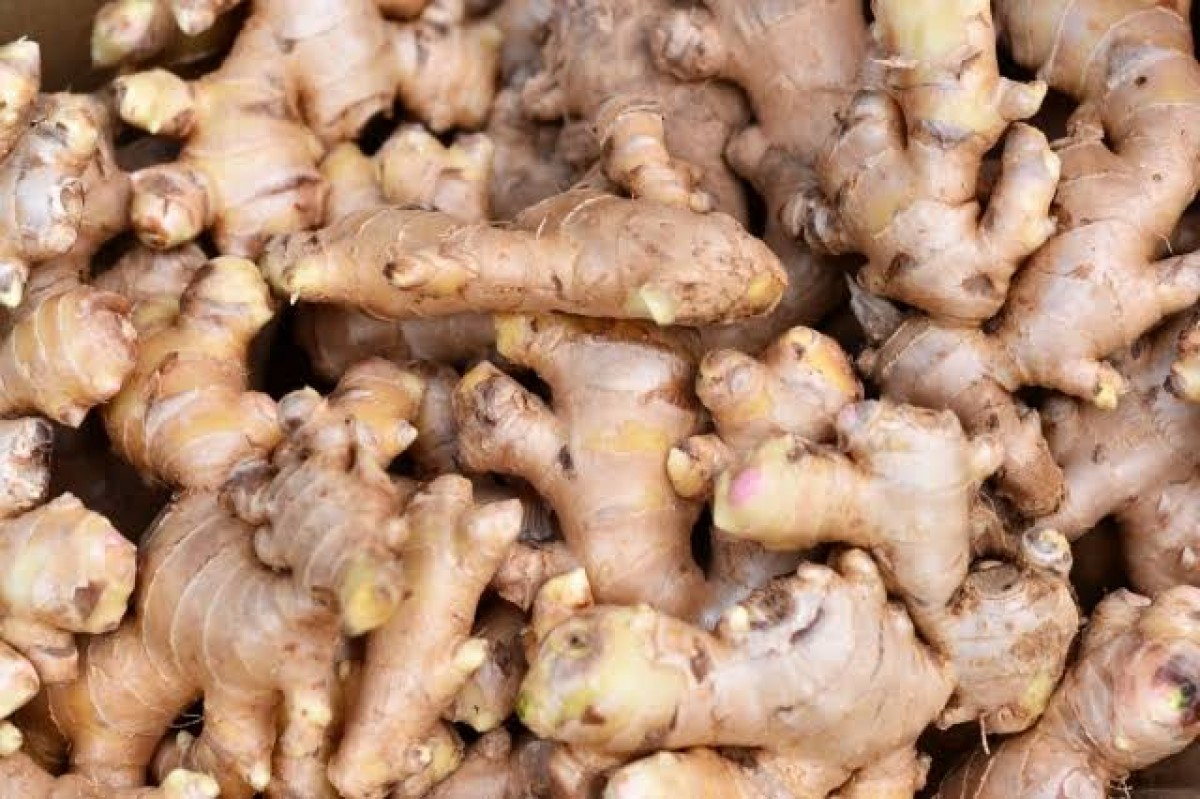 Ginger from Uganda