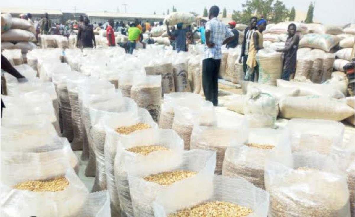 Maize grain from Uganda