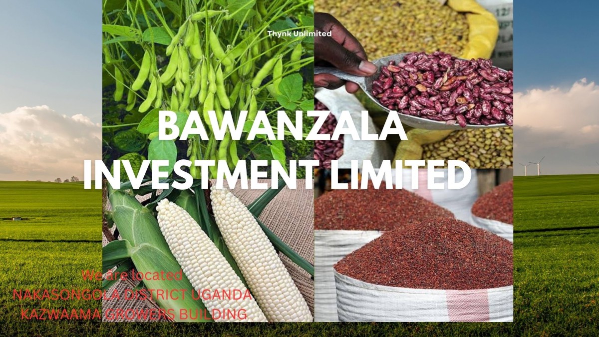 Maize, sorghum, and beans from Uganda