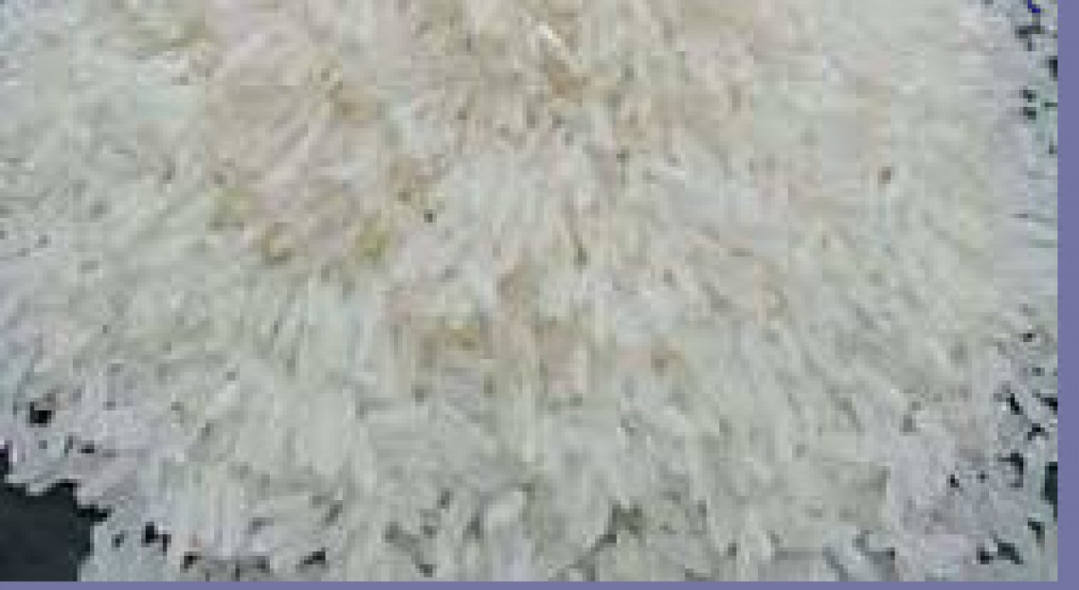 Rice from Uganda