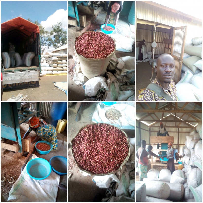 Groundnuts from Uganda