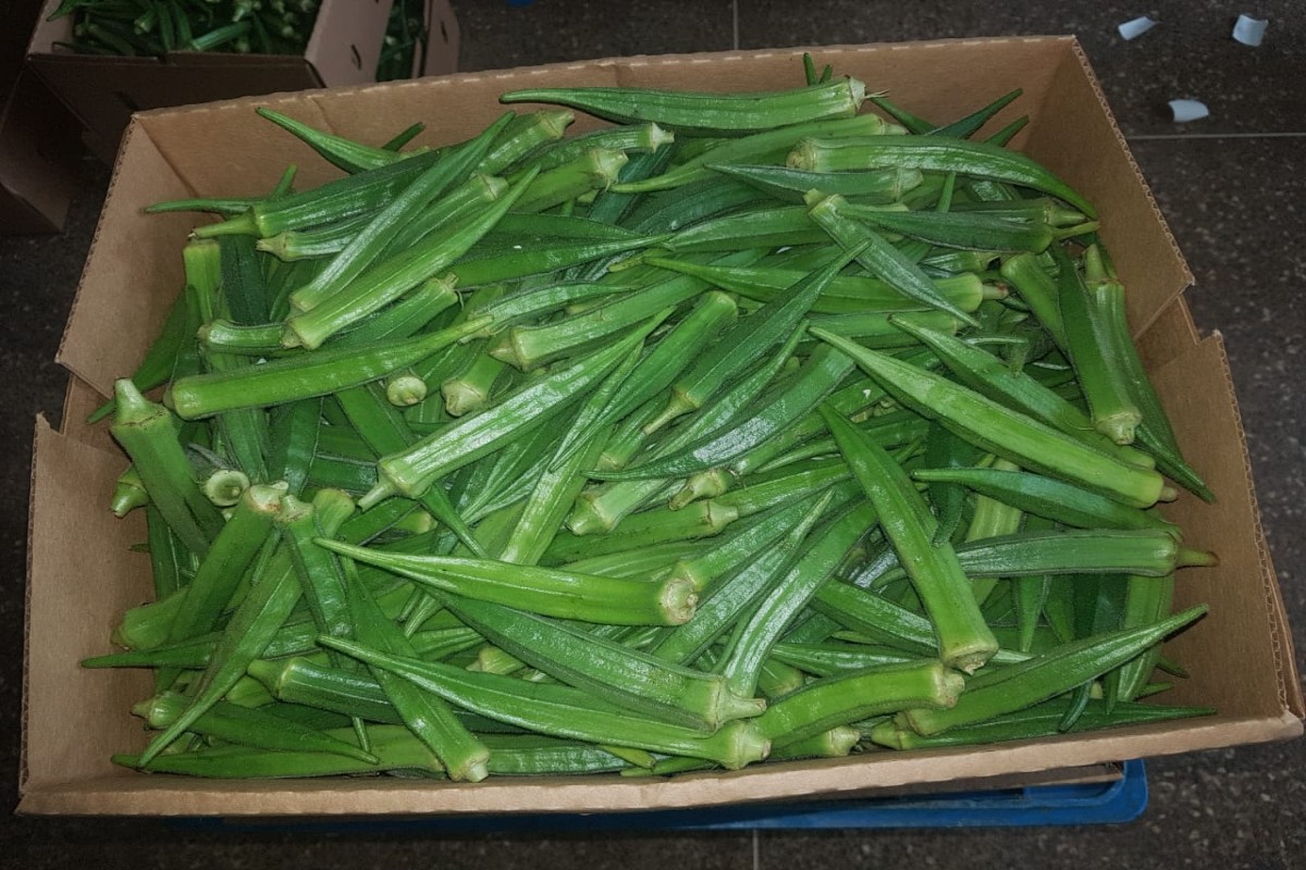 Quiabo from Uganda