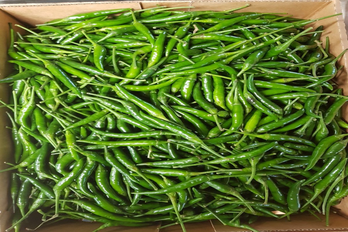 Pimentas verdes from Uganda