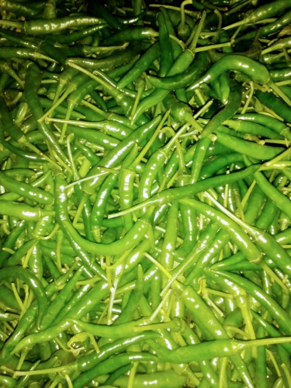 Pimentas verdes from Uganda