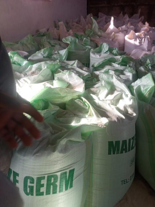 Maize germ local from Uganda