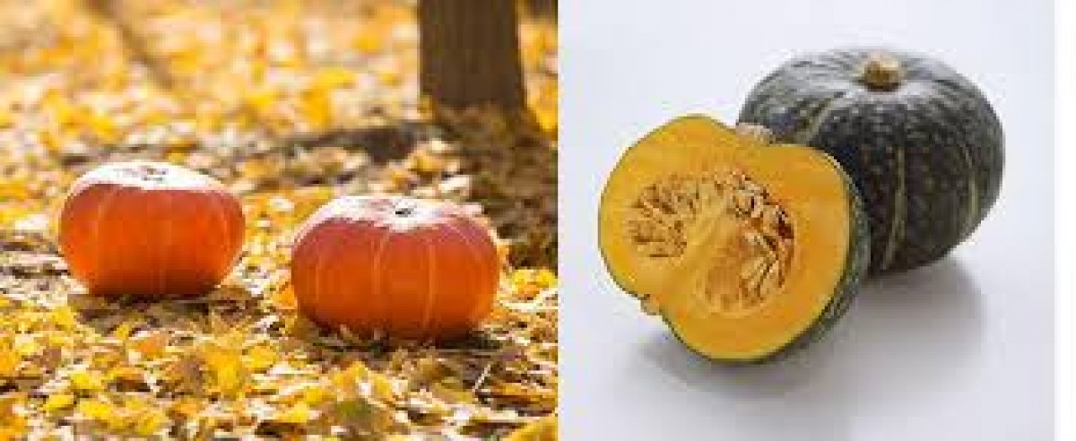 Pumpkin from Uganda