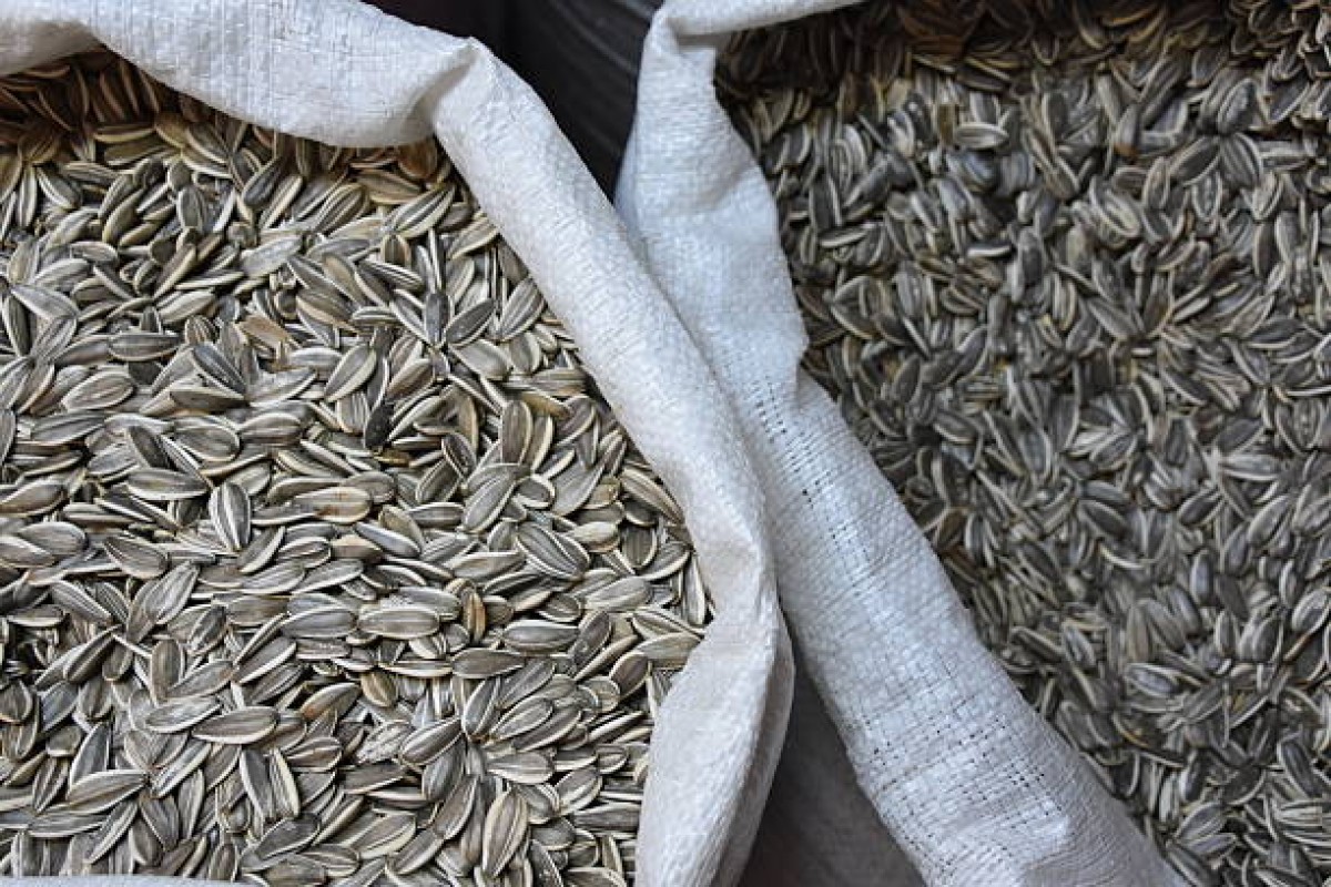 Sunflower seeds from Uganda