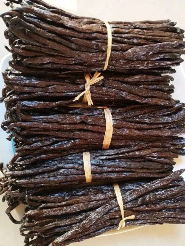 Vanilla beans from Uganda