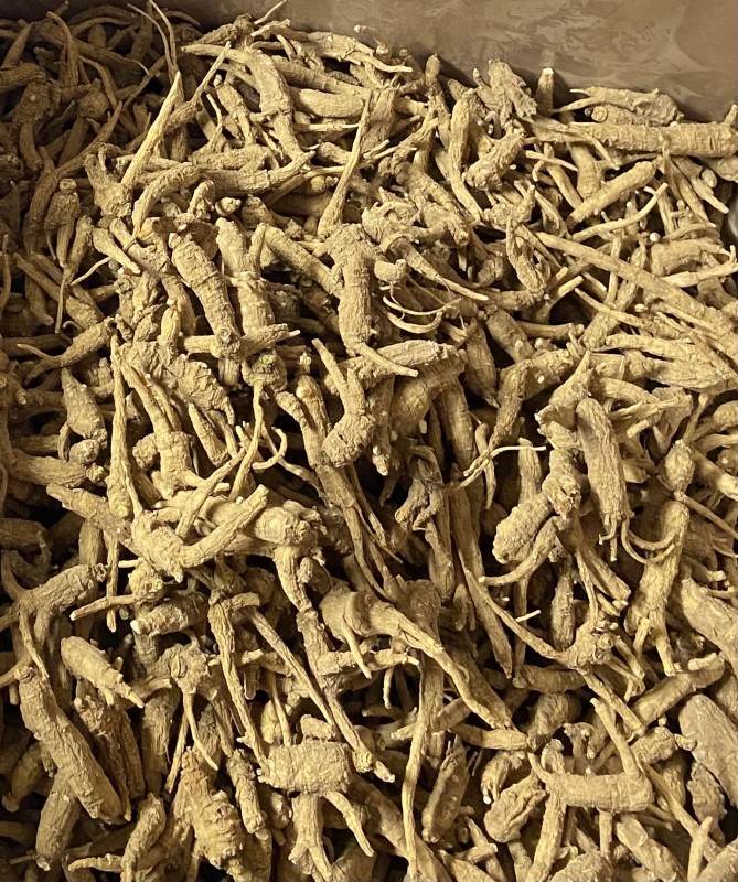 Raíz de ginseng from Estados Unidos