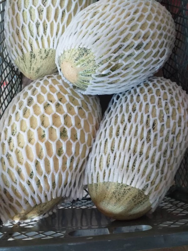 OOO. "DOLINA BEST FRUITS 555" from Uzbekistan