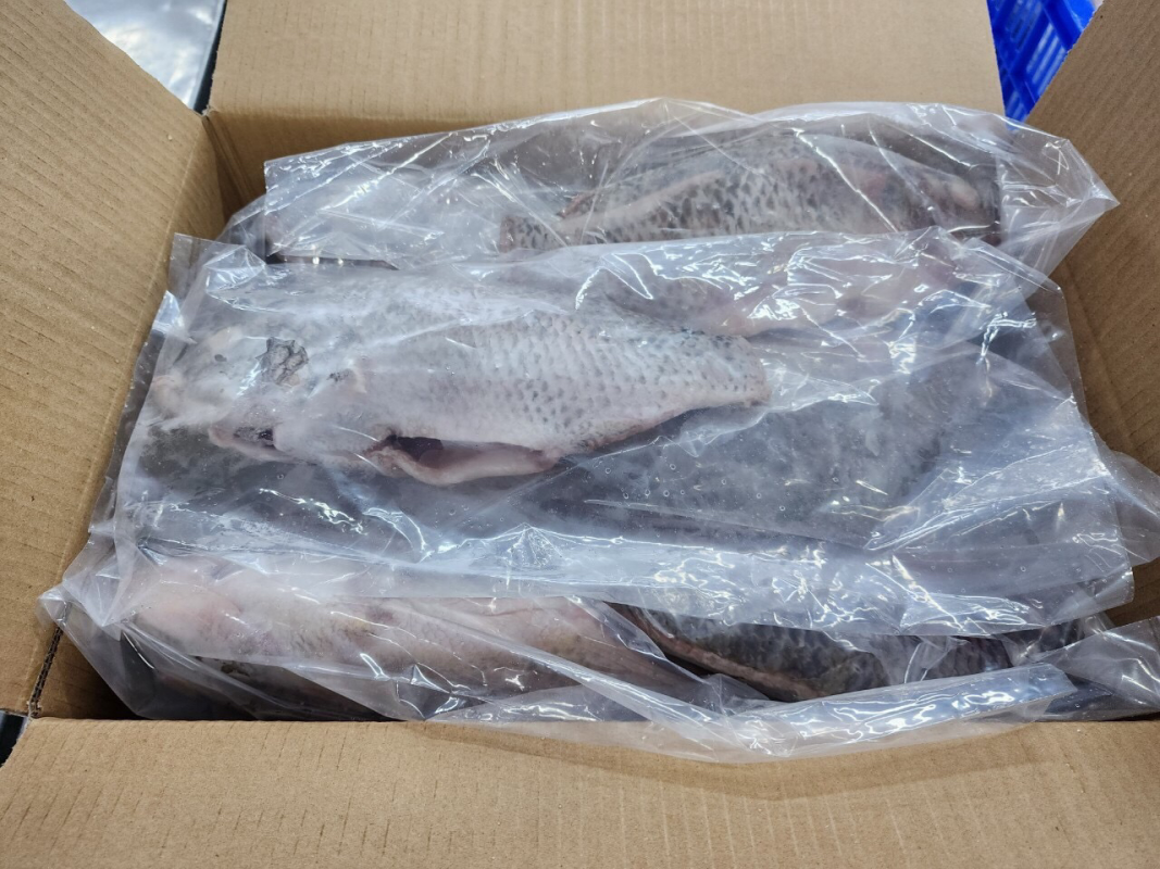 Tilapia business from Vietnam from Vietnam