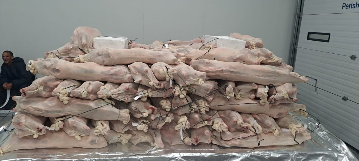 Merino Lamb from South Africa