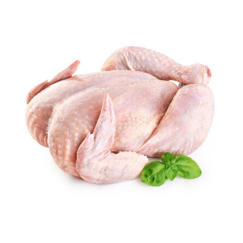 Carne de pollo entero from Sudáfrica