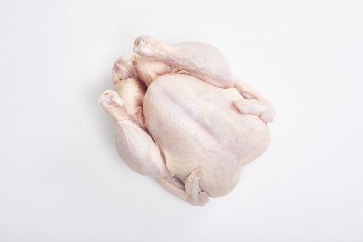 Frango from África do Sul