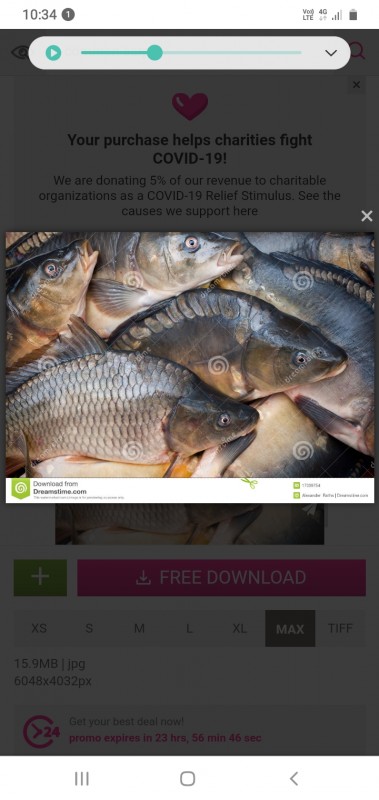 Mag Fishers from Sudáfrica