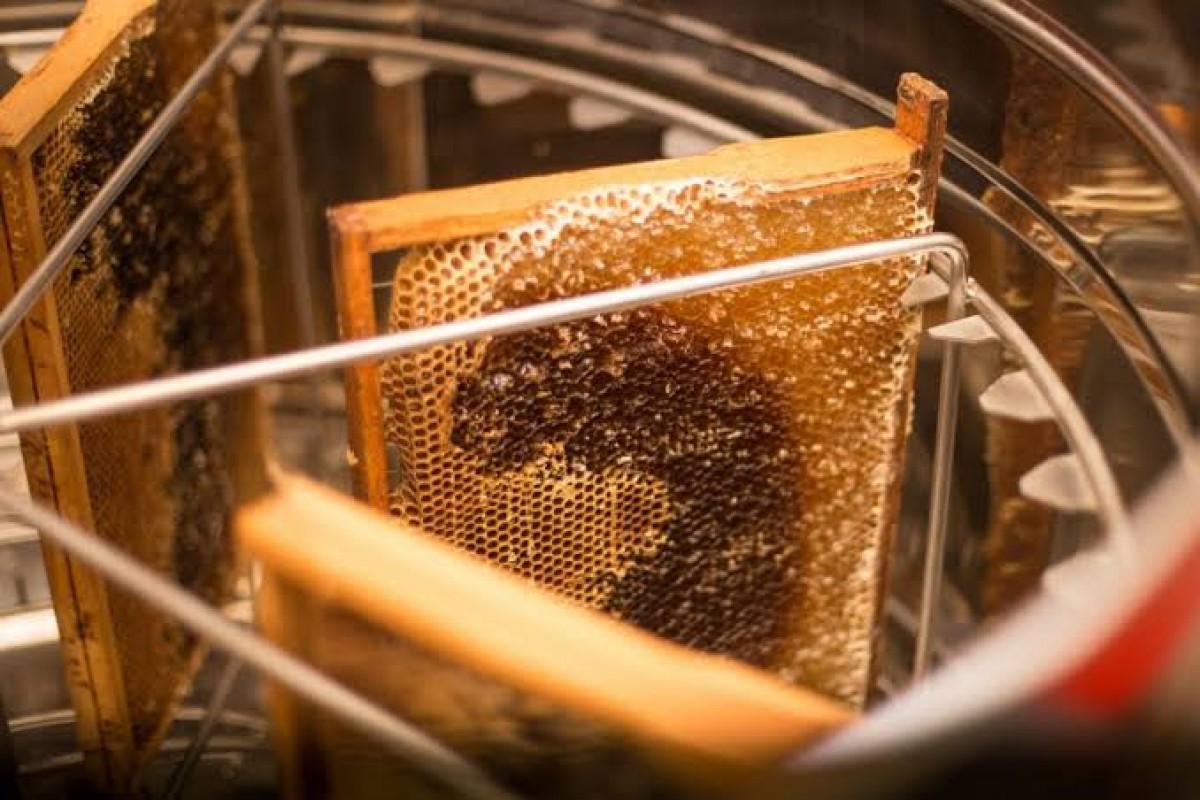 Golden Globe Honey from South Africa