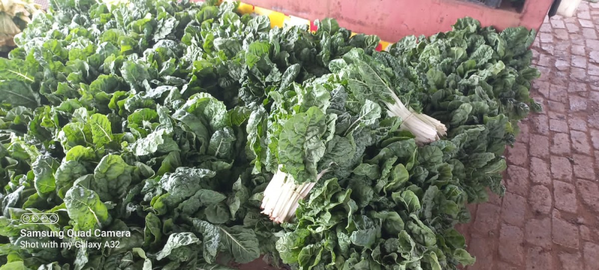 Spinach from South Africa