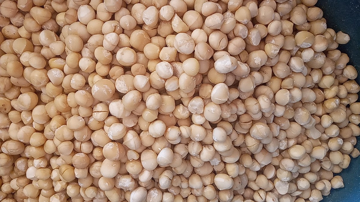 Macadamia nuts from South Africa
