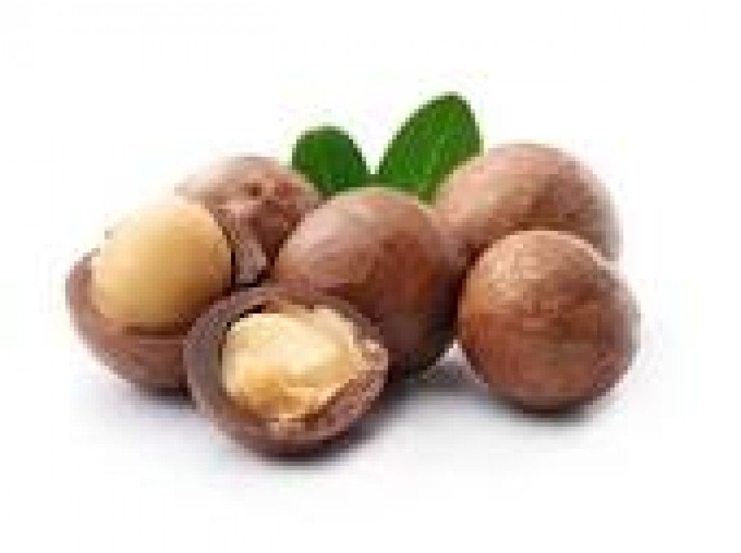 Macadamia kernel from Sudafrica