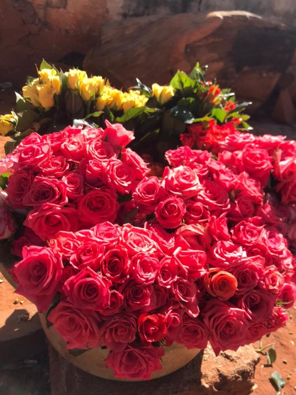 Roses from Zambia