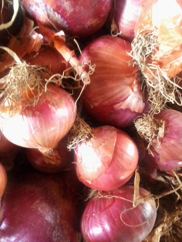 Red onion from Zambia