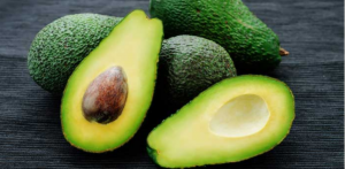 Fresh avocado from Zambia